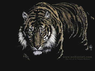 wallpaper tiger. Download Tiger Wallpaper