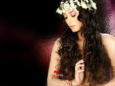 computer download free wallpaper. Free Manisha Lamba Wallpaper Image : Glass Background with lights , Actress 