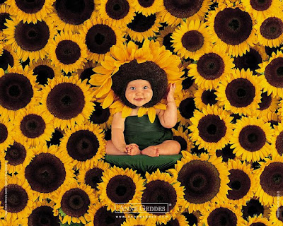 Suncokreti Sunflower+babby+kid+wallpaper+high+resolution
