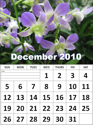 free desktop wallpaper flowers. Image : Purple Flowers