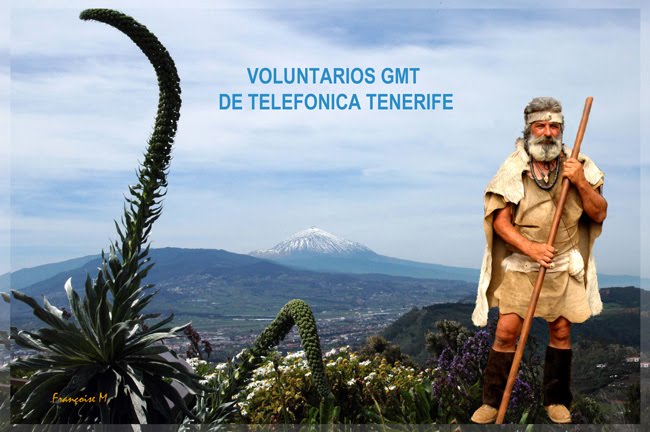 Voluntarios GMT de Telefonica Tenerife.