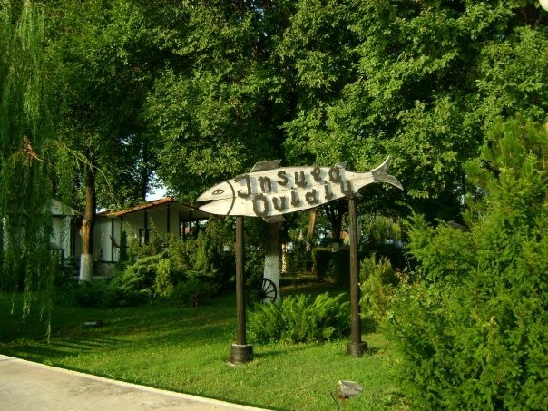 [5440_1083045606227_1528966382_30225264_6921068_n.jpg]