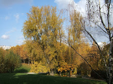 PARIS AU RYTHME DES SAISONS