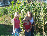 Corn Maze in North Georgia
