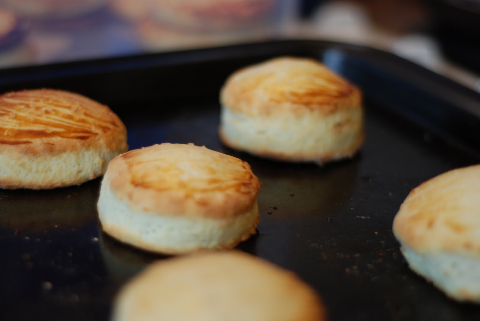 Coffee in a Teacup Scone verses Biscuit...