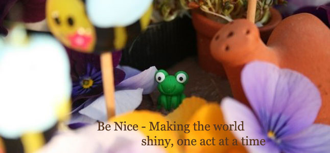 Be Nice - making the world better with kindness