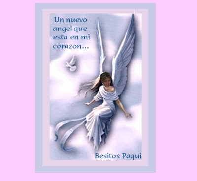 only preteen models candy dolls nn angels candy dolls nn
