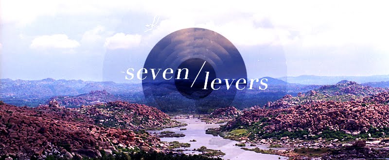Seven Levers