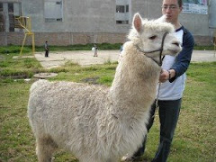 Nick and Llama at the  orphanage