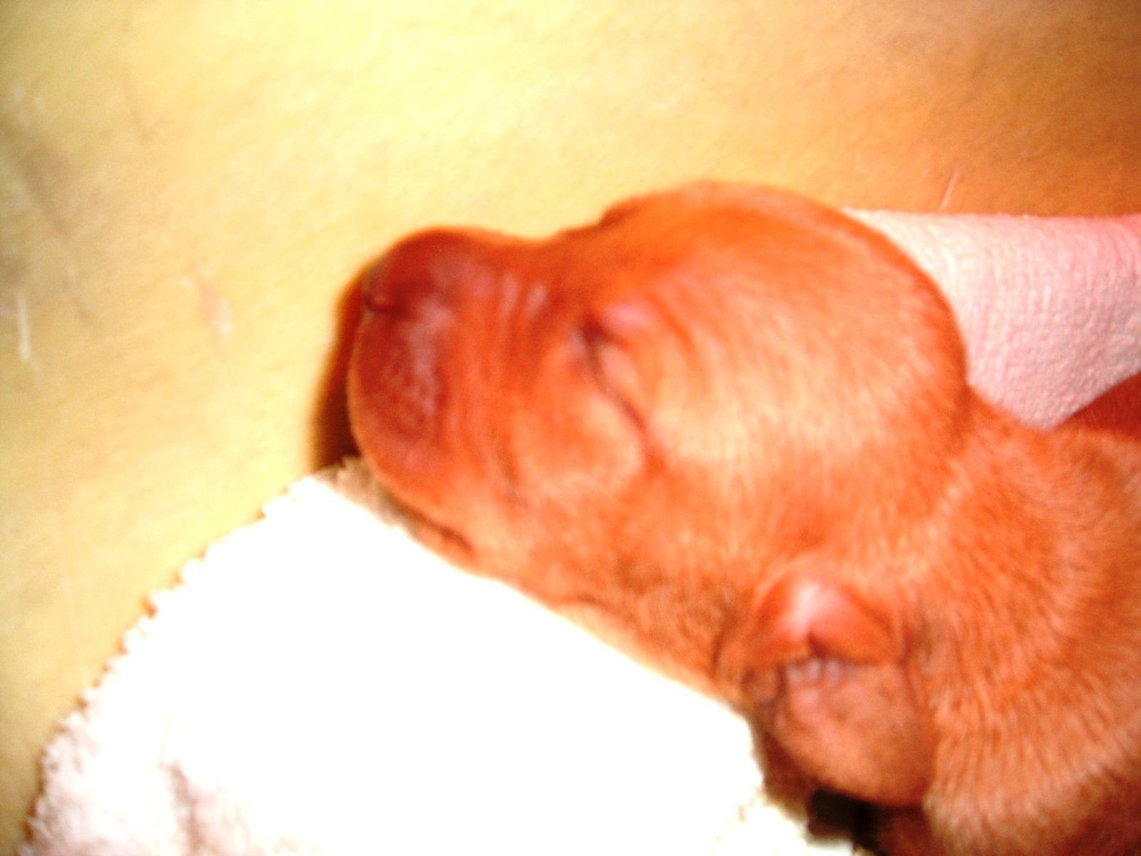 [!cid_image010.jpg@01CA112D[1]]