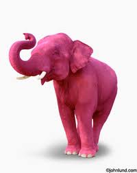 Pink Elephants!!!