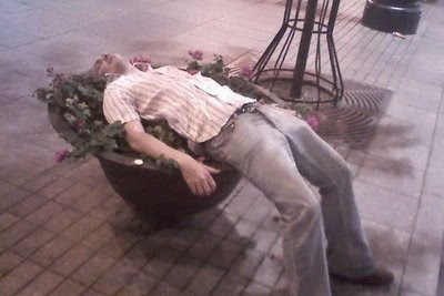 Art Of Sleeping (39) 28