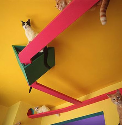 Cat-Friendly House Design - Part: 2 (9) 4