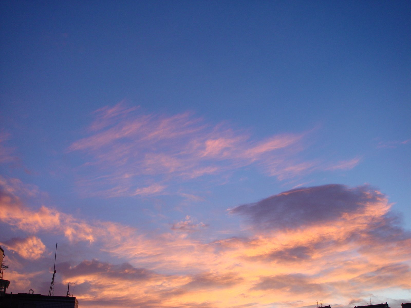 [DSC03035.JPG]