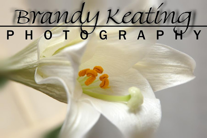 Brandy Keating Photography