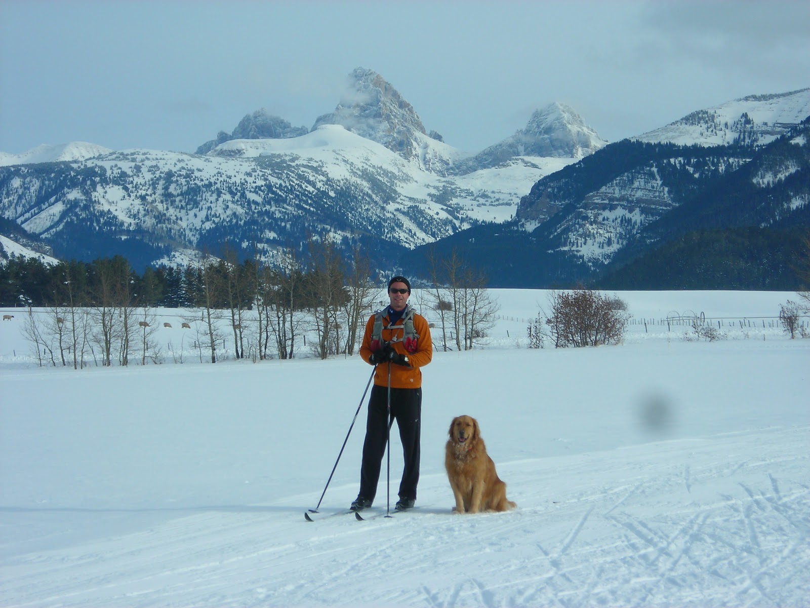 Alta Wy