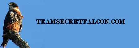 Team Secret Falcon