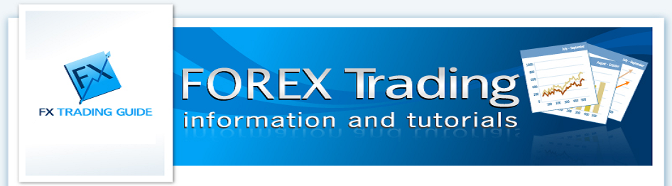 TOP FOREX ROBOT REVIEW