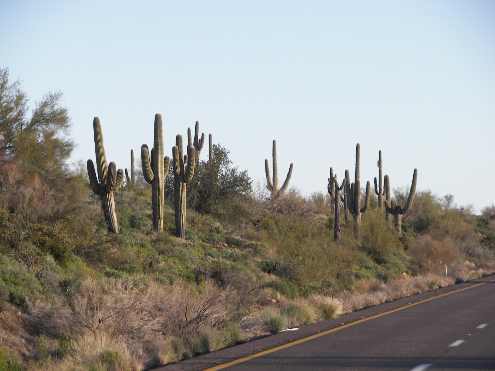 Our Adventures with "Josie" ☺☺☺ We are in Tonopah, Arizona ☺☺☺
