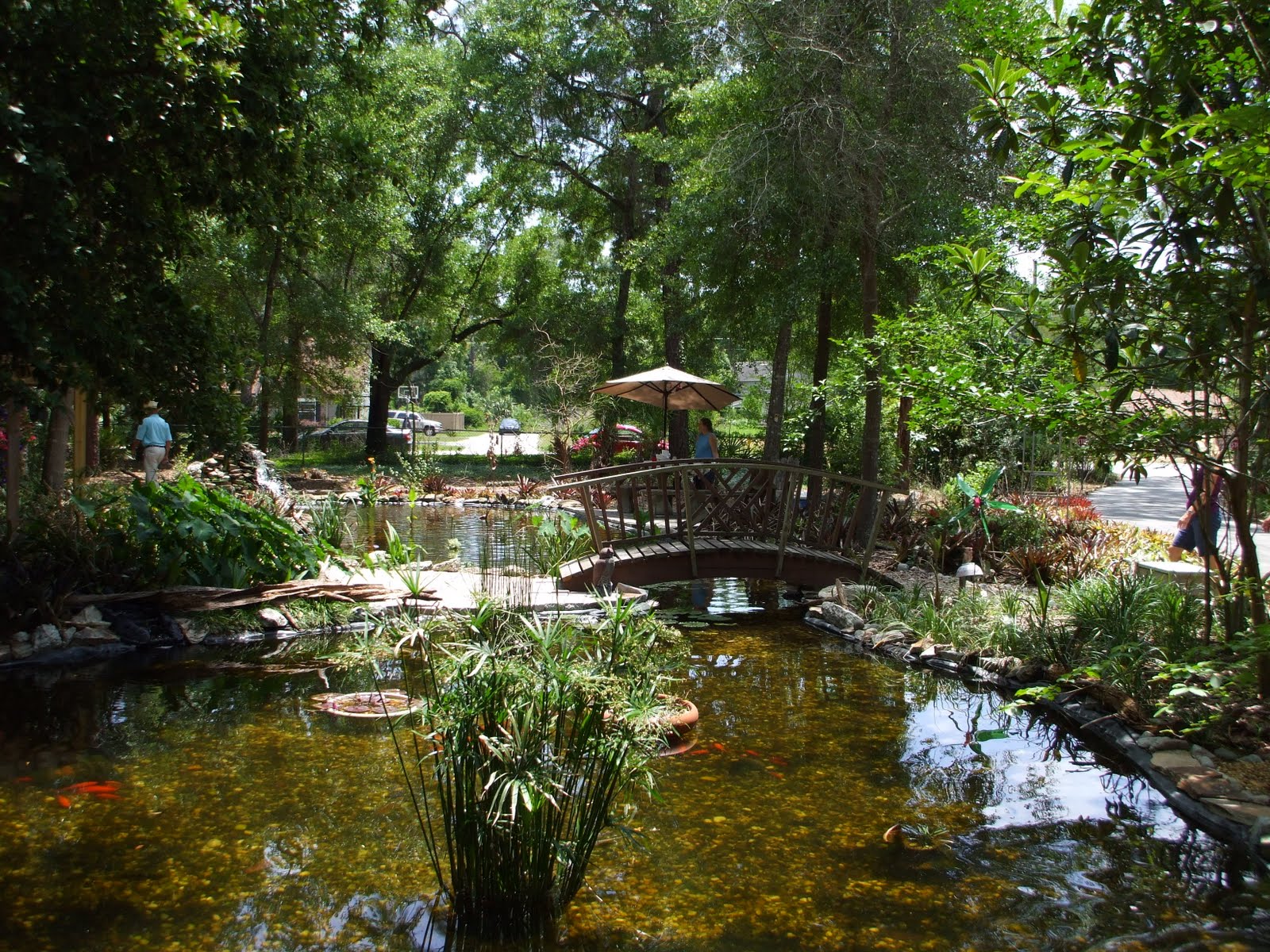 Orlando Realtor Garden Walk.......