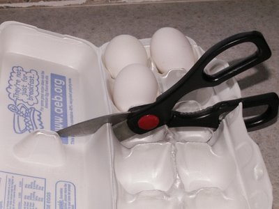 [Egg-Carton-Cut.jpg]