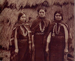 Mapuches