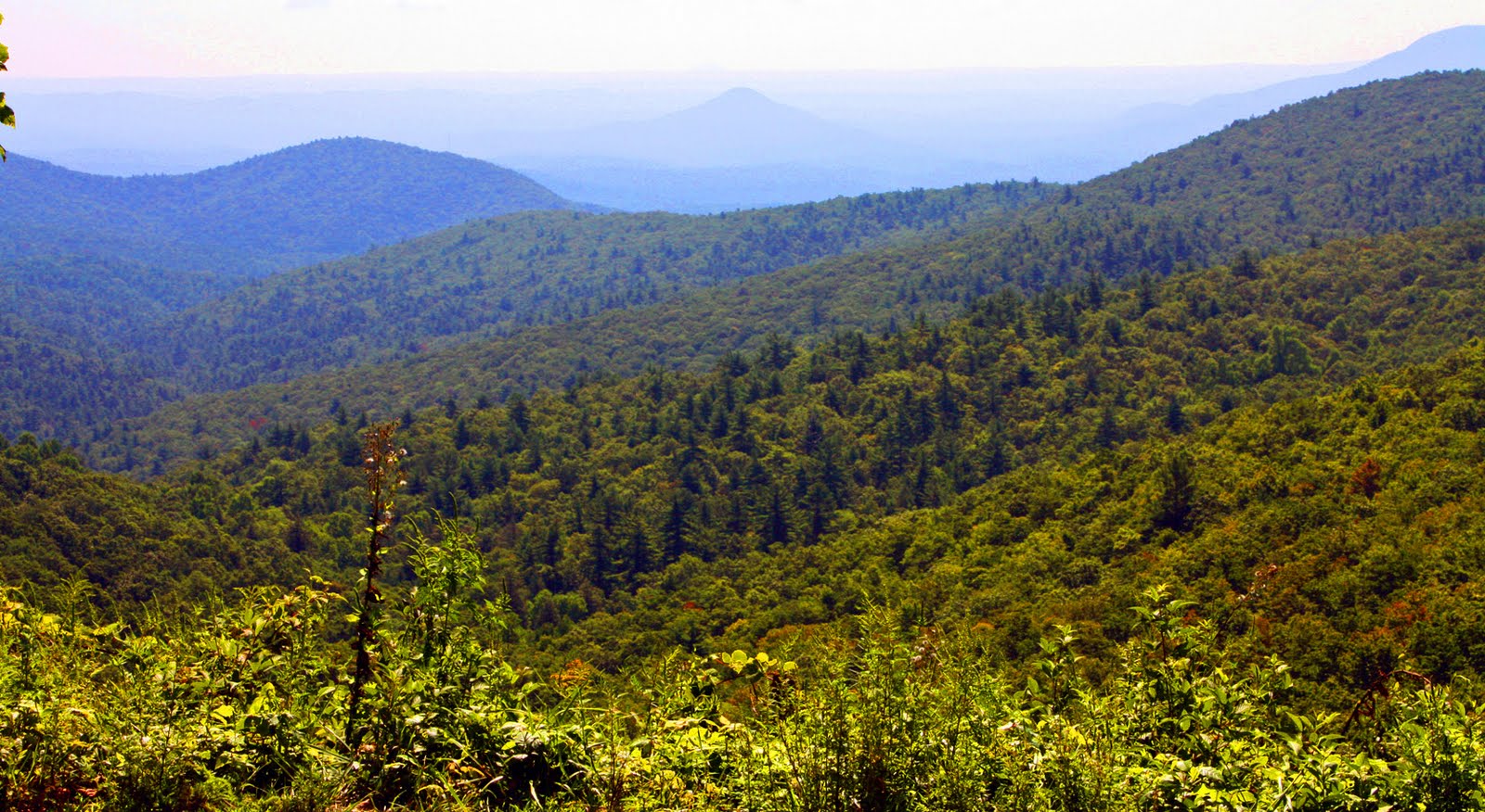 blue ridge mountains near blue ridge georgia