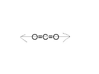 dipole dioxide oxygen bahl stephen am carbon non cancels despite arrow having draw through when other