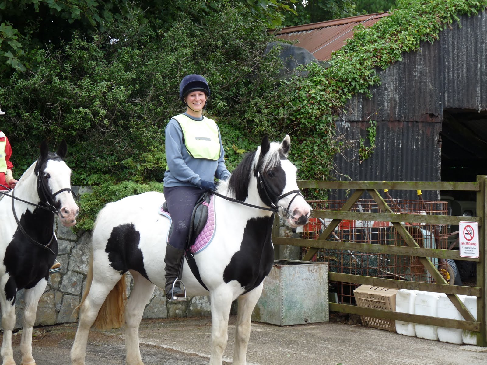 Hetty's happy days! Horse and pony riding in Cornwall
