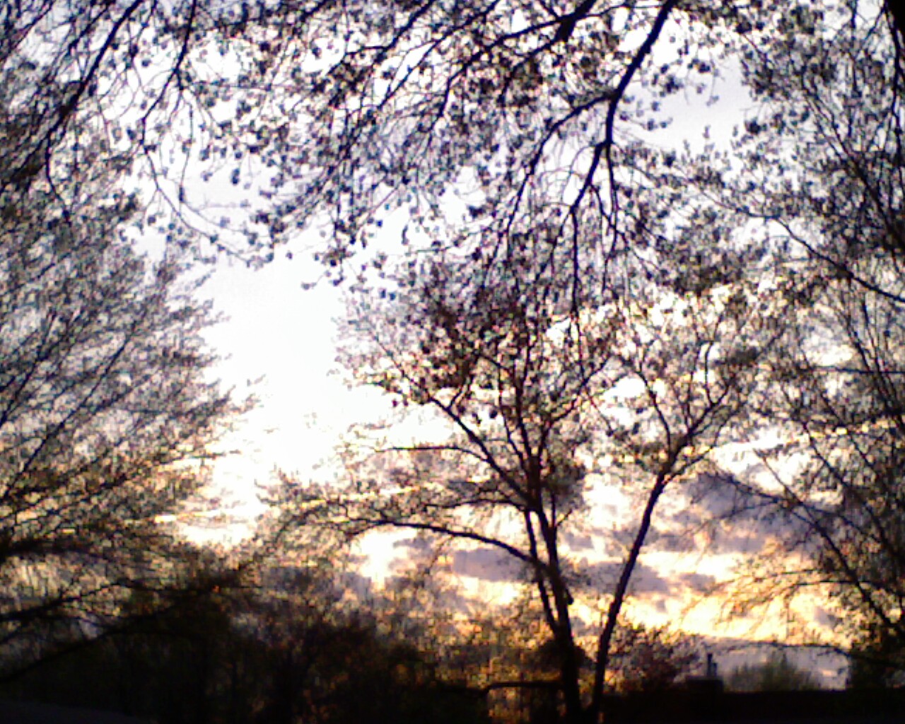 [sunset+42609.jpeg]