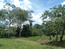 Excelsa Naturaleza