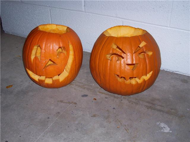[pumpkins.jpeg]