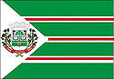 Bandeira de Toledo