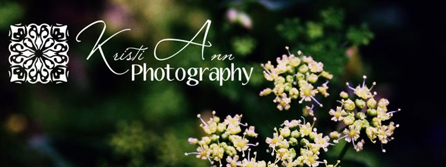 Kristi Ann Photography - Prices