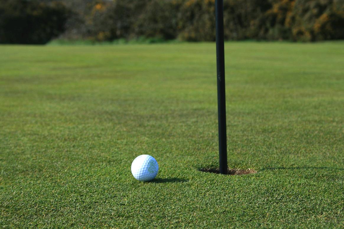http://1.bp.blogspot.com/_NxpJ5_Df1p8/TT19ZFIIykI/AAAAAAAAAEY/L2JozaNgcF4/s1600/bola-de-golfe-par.jpg