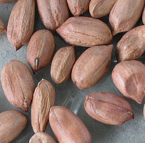 arachides-d%C3%A9cortiqu%C3%A9es.JPG