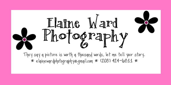 Elaine Ward Photography