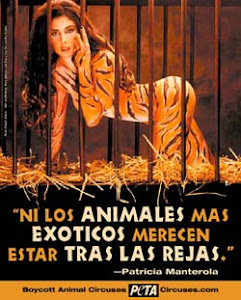 Boicot a los circos con animales