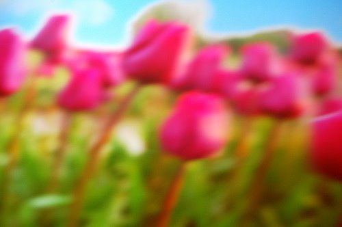 [pipilotti_rist2.jpg]
