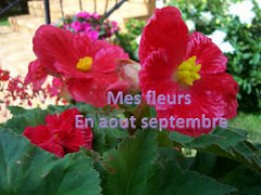 Mes Fleurs en Août et Septembre