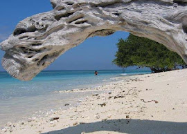 Lombok Beauty island