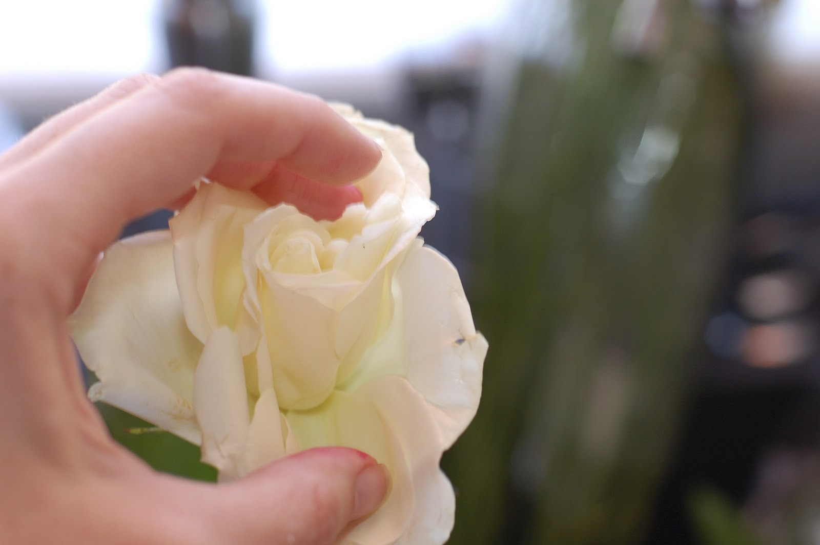 Tradewind Tiaras October 2010