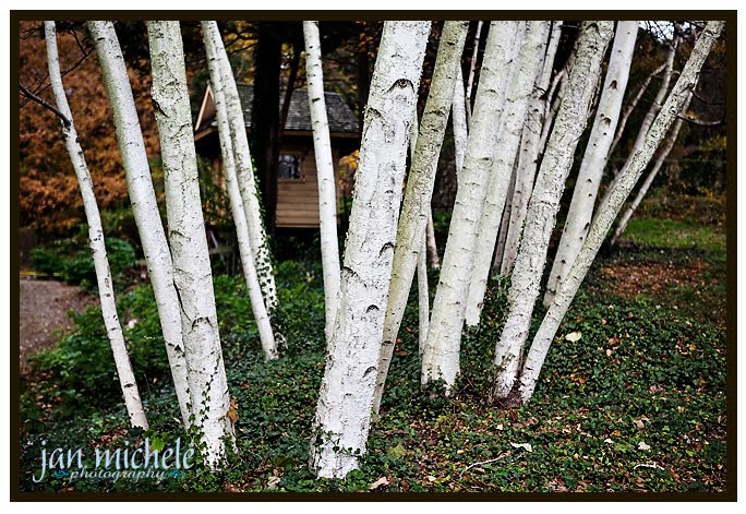 Cedarmere Long Island