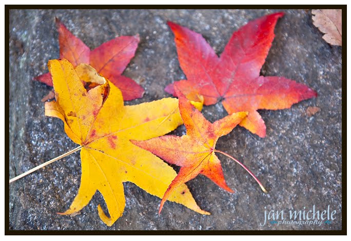 Old Westbury Gardens Long Island