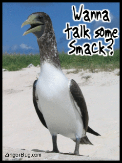 [smack_talk_bird.gif]