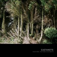 [(13)+Castanetes.jpg]