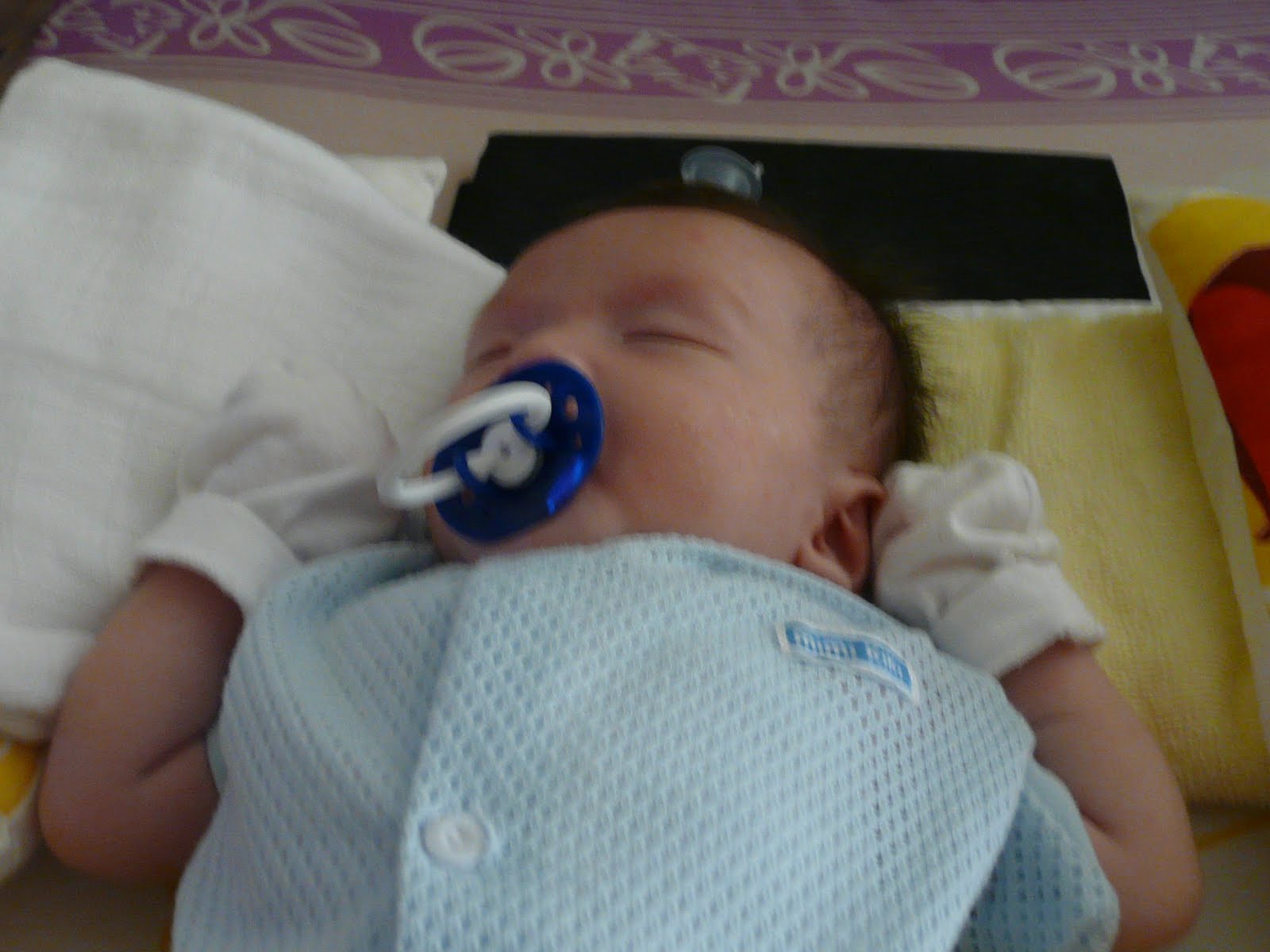 [P1050656.JPG]