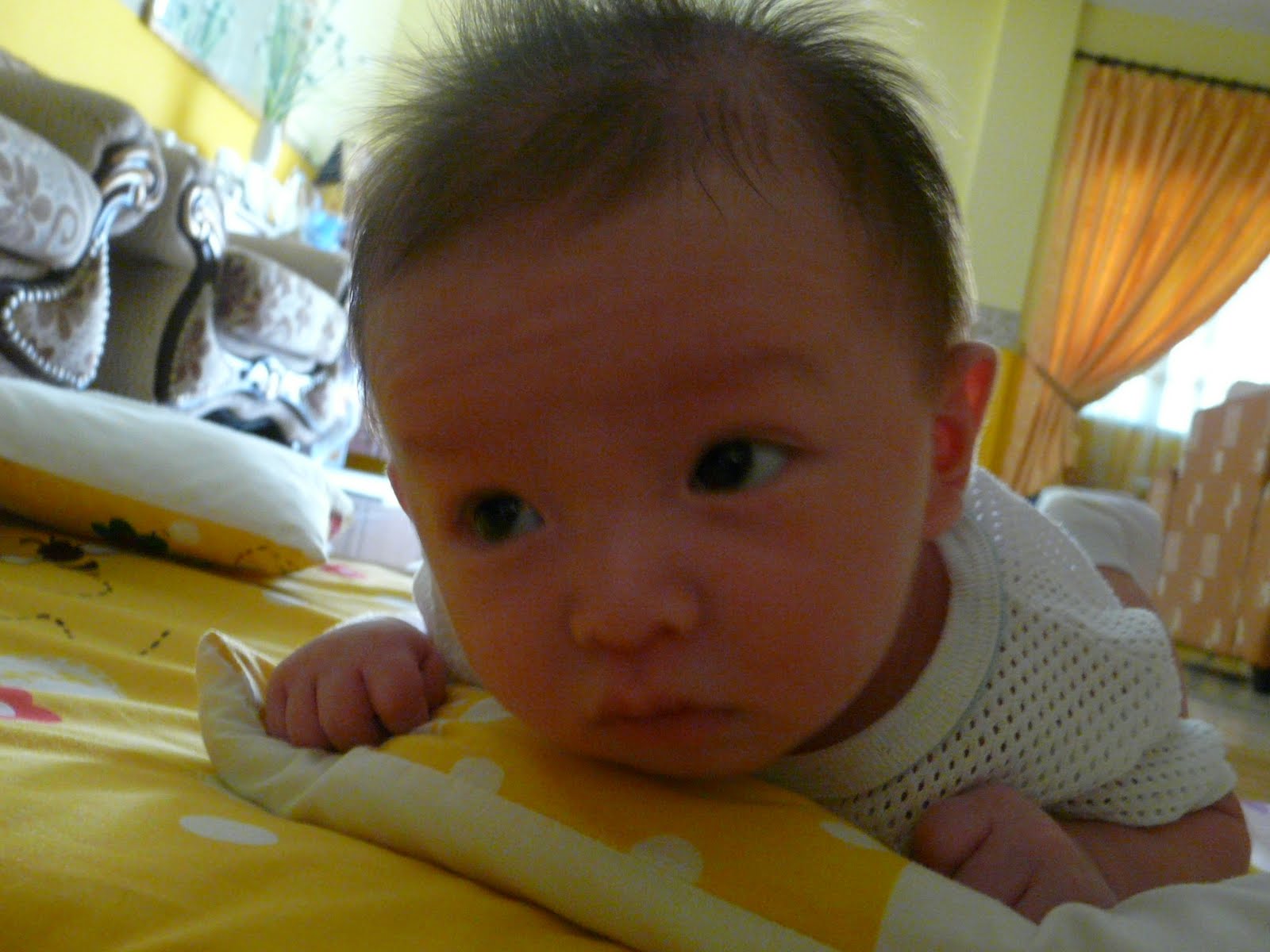 [P1060194.JPG]