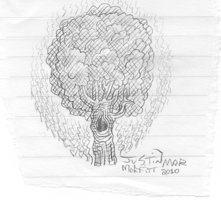 [imaginary+tree.jpg]