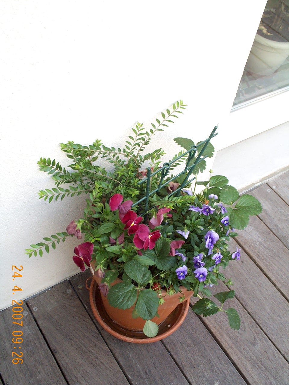 [DCP_4531.JPG]